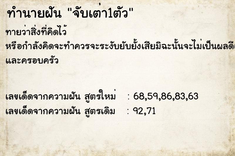 ทำนายฝันจับเต่า1ตัว ทำนายฝันทำนายฝันจับเต่า1ตัว