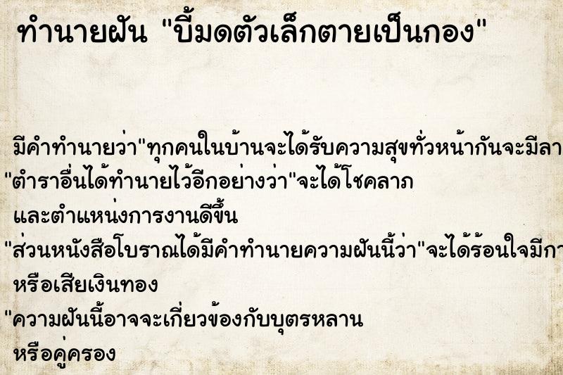 ทำนายฝัน บี้มดตัวเล็กตายเป็นกอง แม่นๆ ฟรี ด้วยตำราหนังสือทำนายฝันโบราณ ทำนายฝันบี้มดตัวเล็กตายเป็นกอง