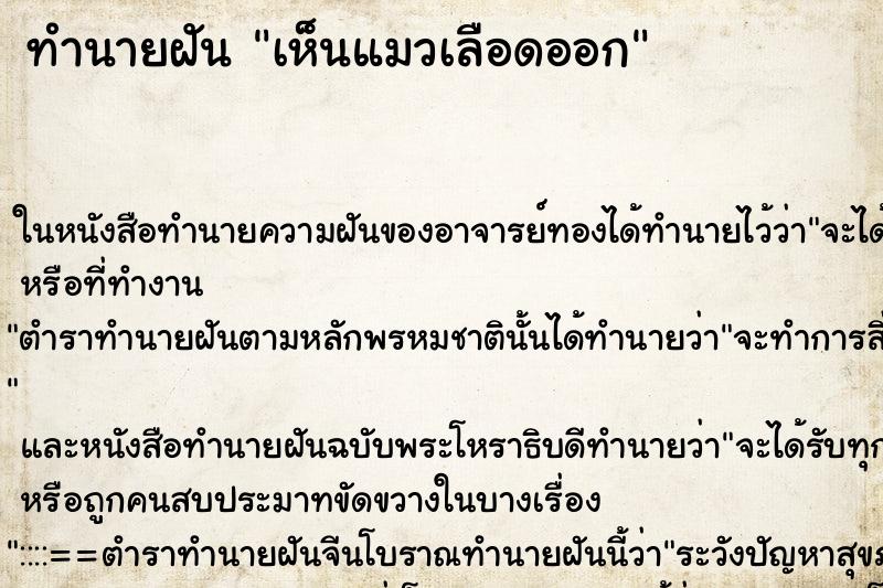 ทำนายฝันทำนายฝันเห็นแมวเลือดออก