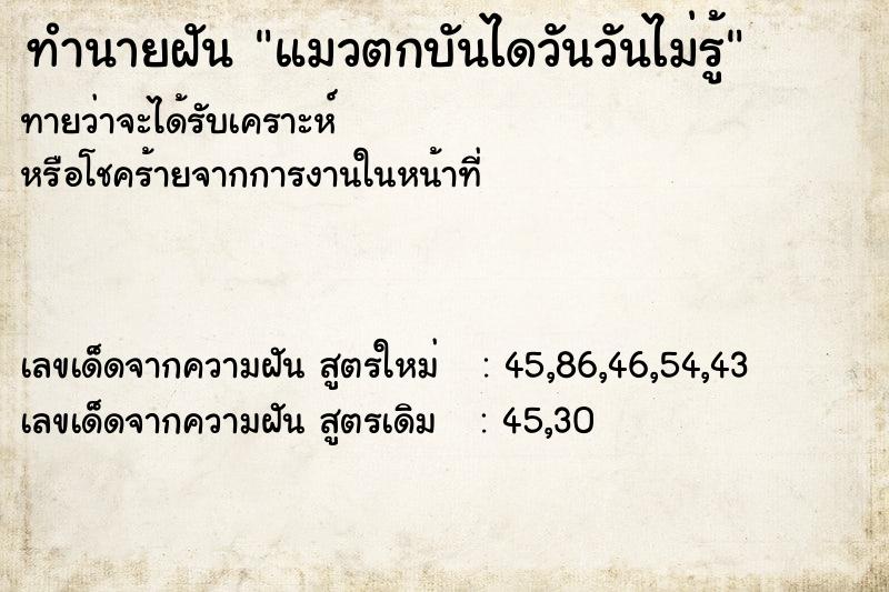 ทำนายฝันทำนายฝันแมวตกบันไดวันวันไม่รู้