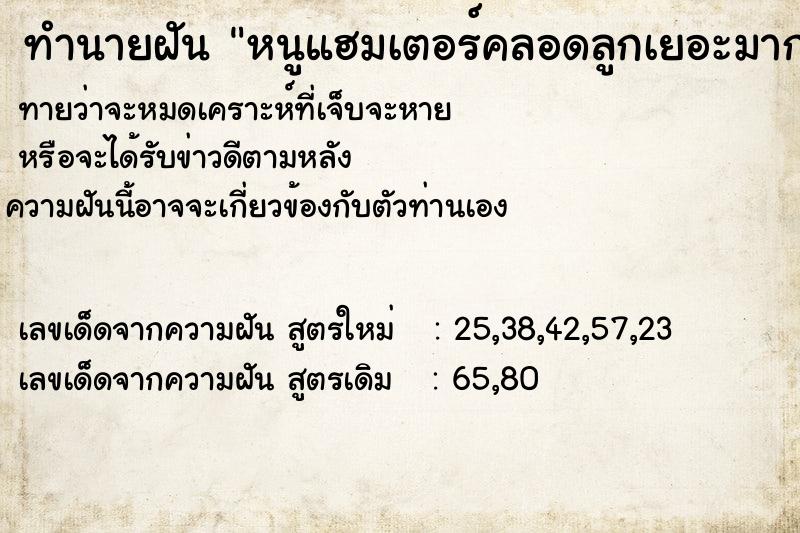 ทำนายฝัน หนูแฮมเตอร์คลอดลูกเยอะมากกว่า10ตัว