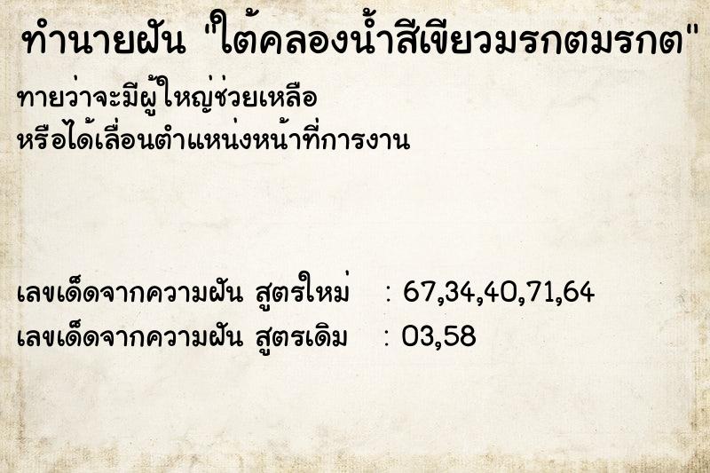 ทำนายฝัน ใต้คลองน้ำสีเขียวมรกตมรกต ทำนายฝัน ใต้คลองน้ำสีเขียวมรกตมรกต