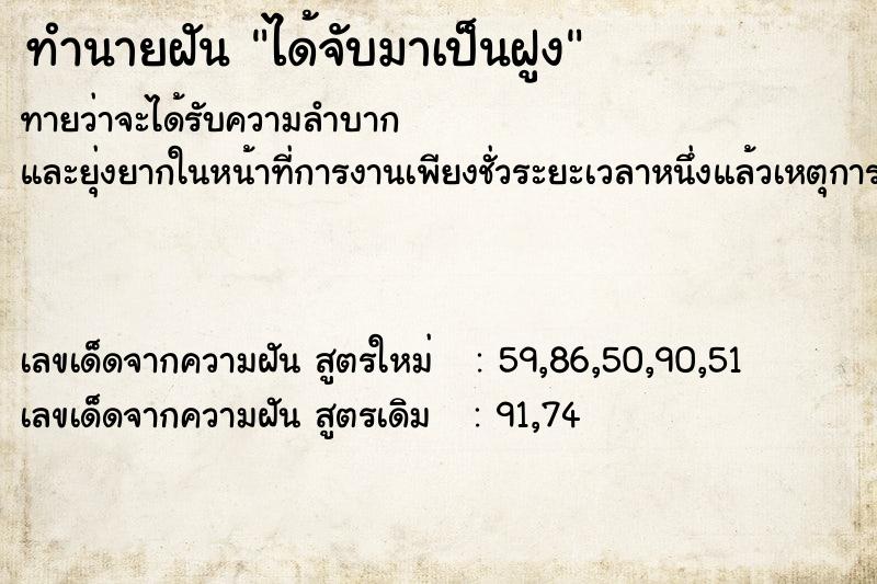 ทำนายฝันทำนายฝันได้จับมาเป็นฝูง