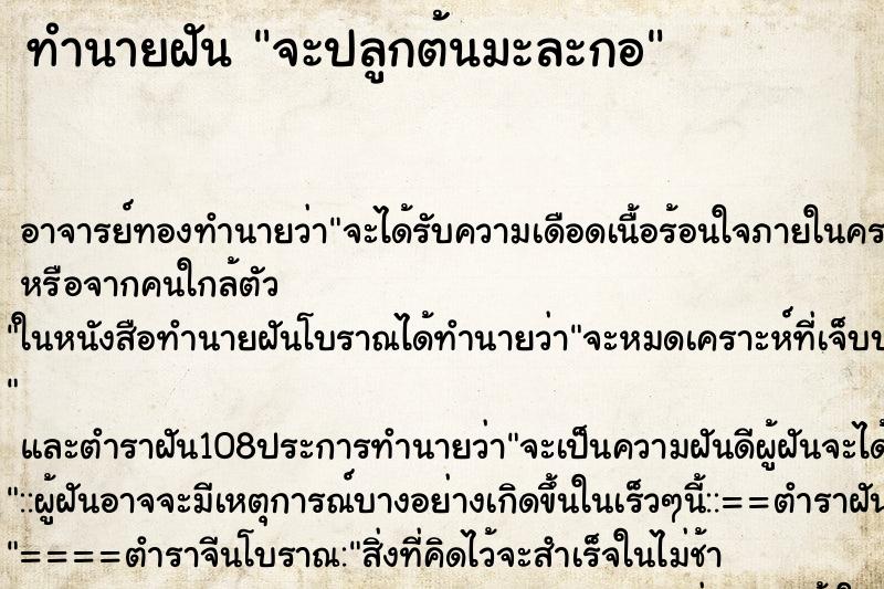 ทำนายฝัน จะปลูกต้นมะละกอ ทำนายฝัน จะปลูกต้นมะละกอ