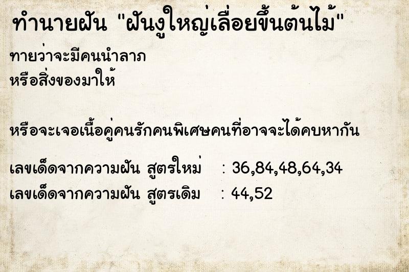 ทำนายฝันฝันงูใหญ่เลื่อยขึ้นต้นไม้ ทำนายฝันทำนายฝันฝันงูใหญ่เลื่อยขึ้นต้นไม้