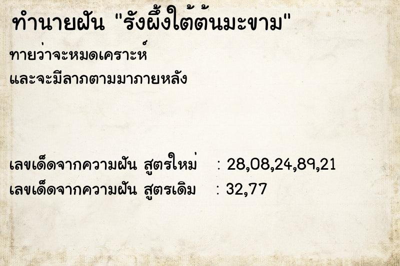 ทำนายฝันทำนายฝันรังผึ้งใต้ต้นมะขาม