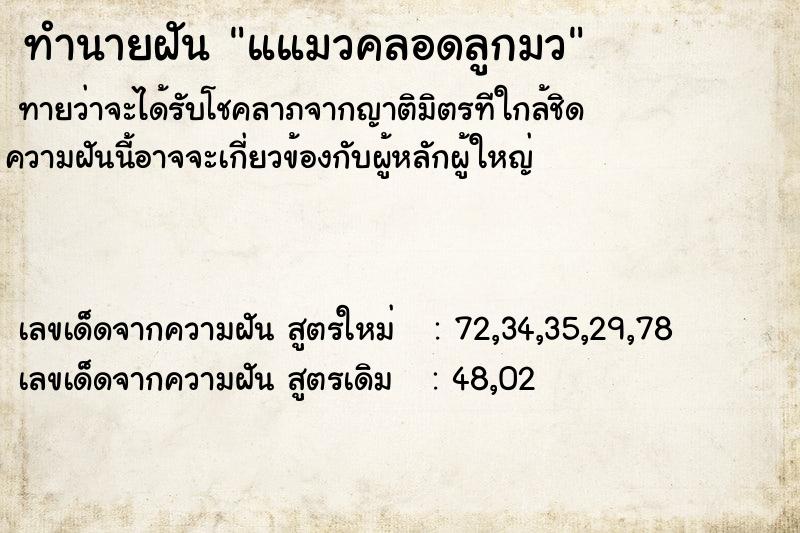 ทำนายฝันทำนายฝันแแมวคลอดลูกมว