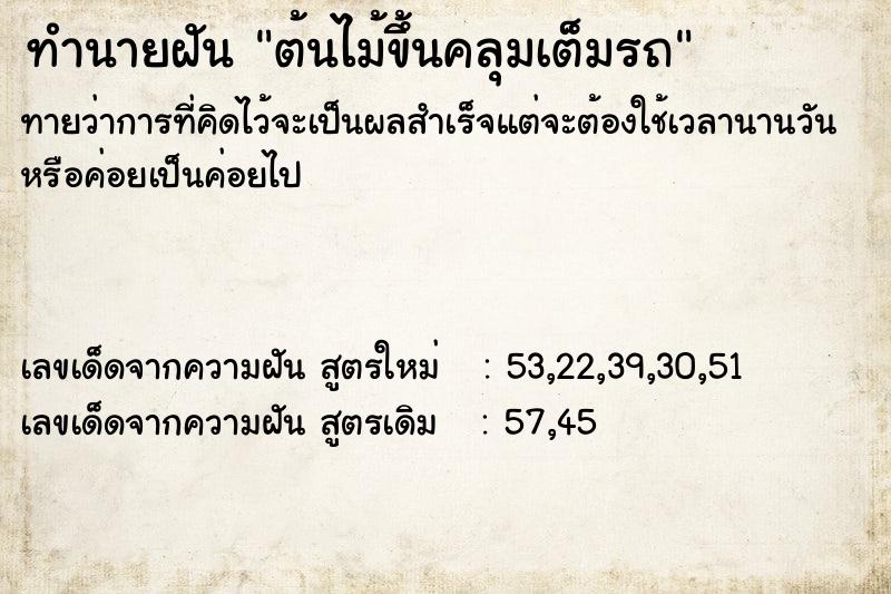 ทำนายฝันต้นไม้ขึ้นคลุมเต็มรถ ทำนายฝันทำนายฝันต้นไม้ขึ้นคลุมเต็มรถ