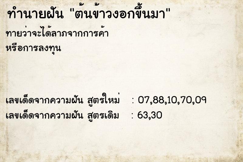 ทำนายฝันต้นข้าวงอกขึ้นมา ทำนายฝันทำนายฝันต้นข้าวงอกขึ้นมา