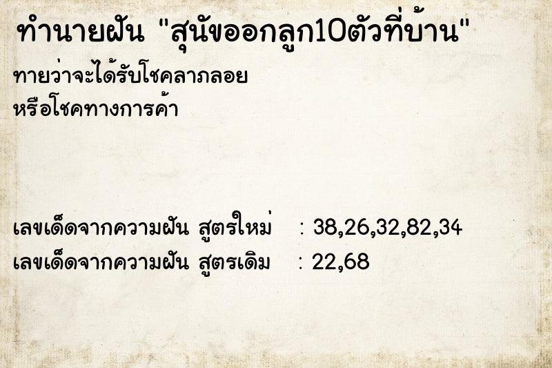 ทำนายฝัน สุนัขออกลูก10ตัวที่บ้าน ทำนายฝัน สุนัขออกลูก10ตัวที่บ้าน