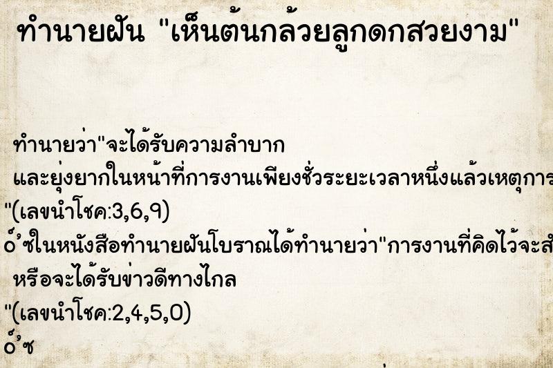 ทำนายฝัน เห็นต้นกล้วยลูกดกสวยงาม