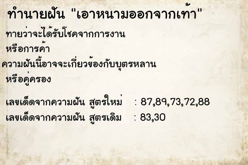 ทำนายฝันเอาหนามออกจากเท้า ทำนายฝันทำนายฝันเอาหนามออกจากเท้า