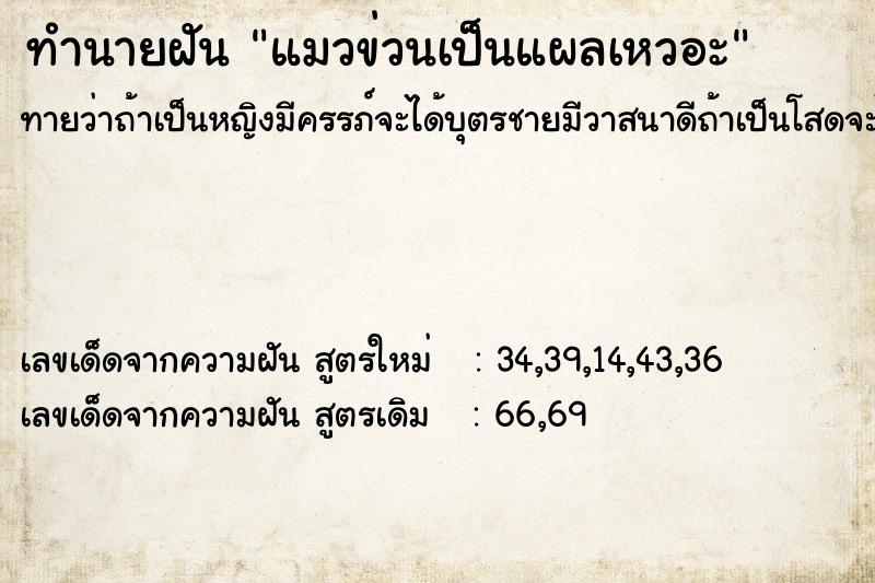ทำนายฝันทำนายฝันแมวข่วนเป็นแผลเหวอะ