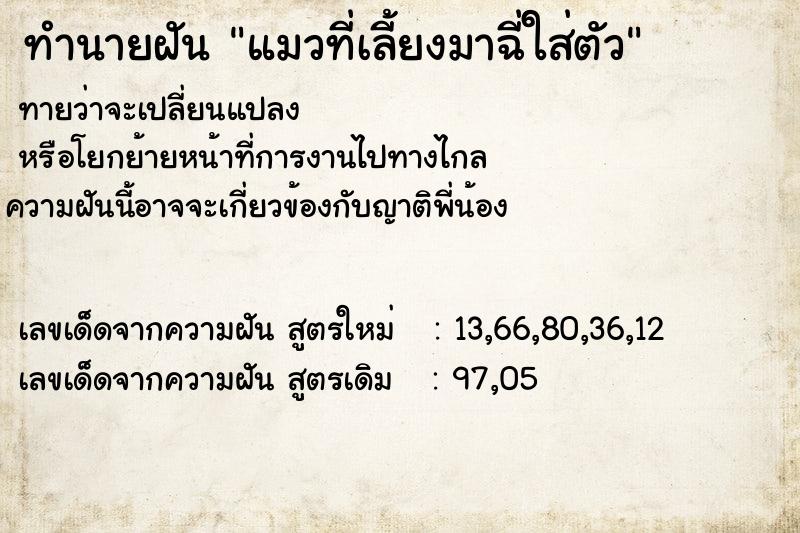 ทำนายฝันแมวที่เลี้ยงมาฉี่ใส่ตัว ทำนายฝันทำนายฝันแมวที่เลี้ยงมาฉี่ใส่ตัว