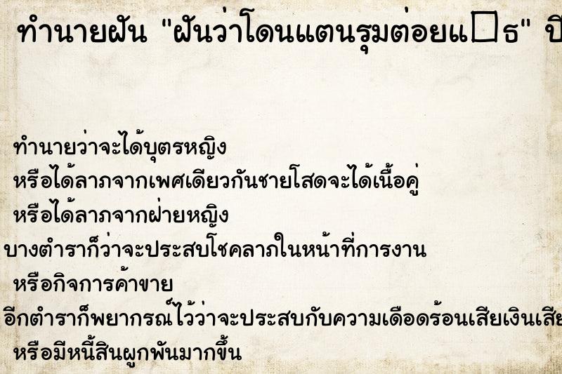 ทำนายฝัน ฝันว่าโดนแตนรุมต่อยแ�¸ ทำนายฝัน ฝันว่าโดนแตนรุมต่อยแ�¸