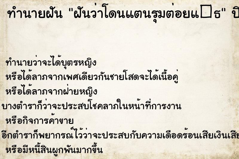 ทำนายฝัน ฝันว่าโดนแตนรุมต่อยแ�¸ ตำราโบราณ แม่นที่สุดในโลก