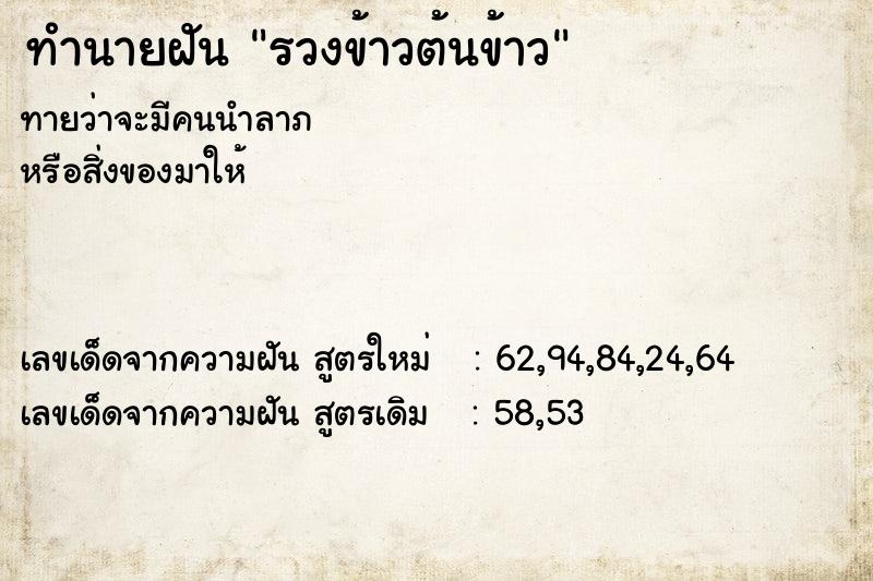 ทำนายฝันรวงข้าวต้นข้าว ทำนายฝันทำนายฝันรวงข้าวต้นข้าว