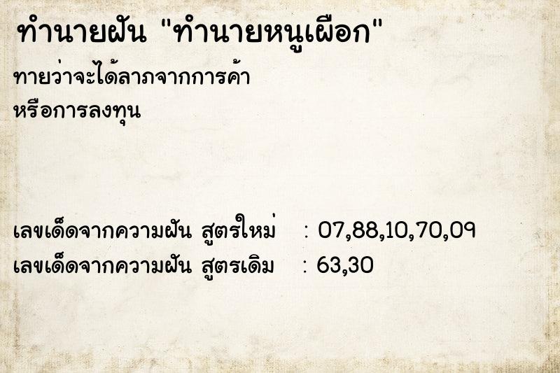 ทำนายฝัน ทำนายหนูเผือก ทำนายฝัน ทำนายหนูเผือก