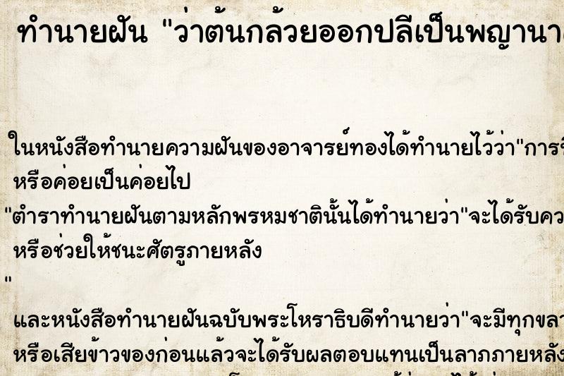 ทำนายฝันว่าต้นกล้วยออกปลีเป็นพญานาค ทำนายฝันทำนายฝันว่าต้นกล้วยออกปลีเป็นพญานาค