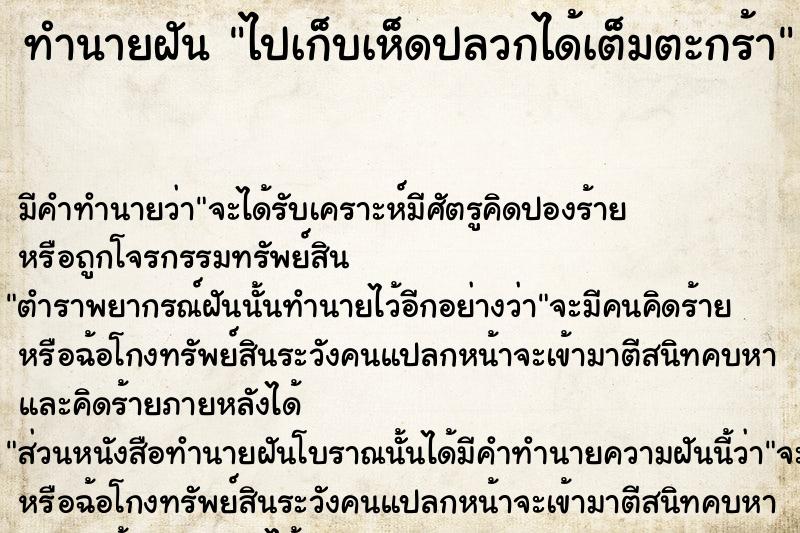 ทำนายฝัน ไปเก็บเห็ดปลวกได้เต็มตะกร้า ทำนายฝัน ไปเก็บเห็ดปลวกได้เต็มตะกร้า