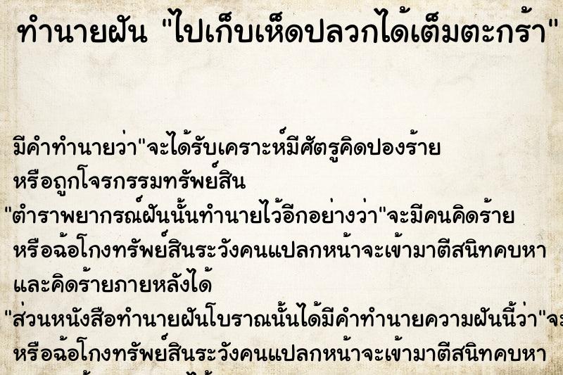 ทำนายฝัน ไปเก็บเห็ดปลวกได้เต็มตะกร้า ตำราโบราณ แม่นที่สุดในโลก