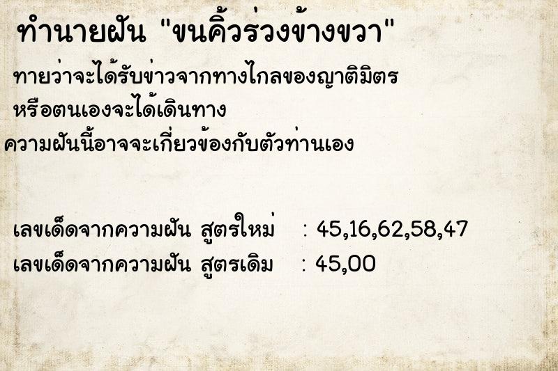 ทำนายฝันขนคิ้วร่วงข้างขวา ทำนายฝันทำนายฝันขนคิ้วร่วงข้างขวา