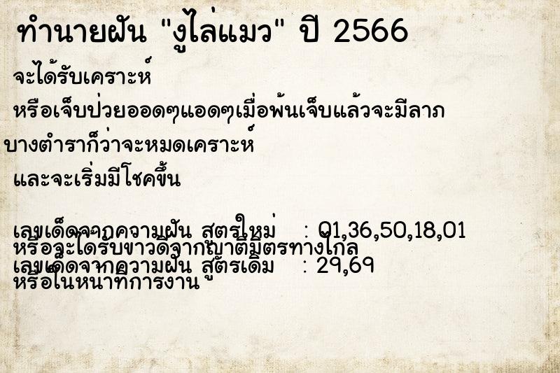 ทำนายฝันทำนายฝันงูไล่แมว