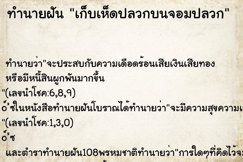 ทำนายฝันทำนายฝันเก็บเห็ดปลวกบนจอมปลวก