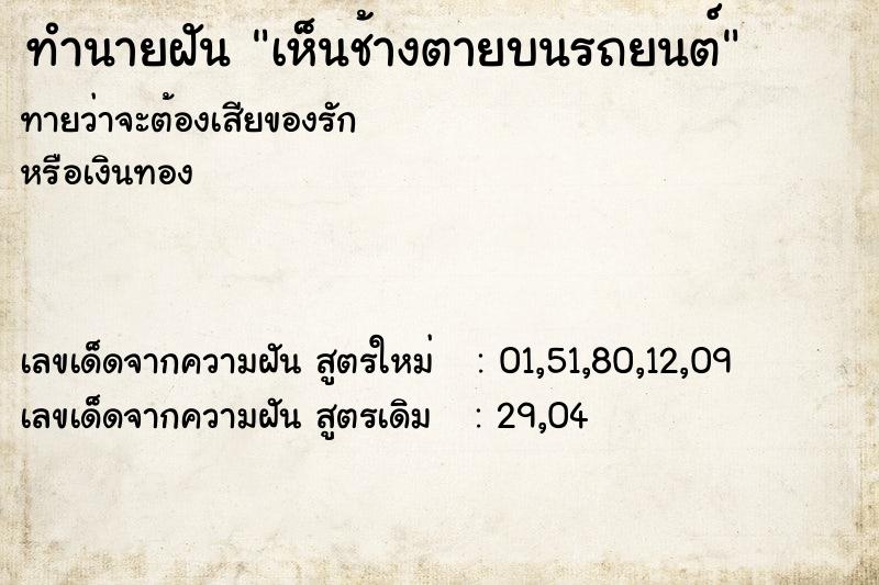 ทำนายฝันเห็นช้างตายบนรถยนต์ ทำนายฝันทำนายฝันเห็นช้างตายบนรถยนต์