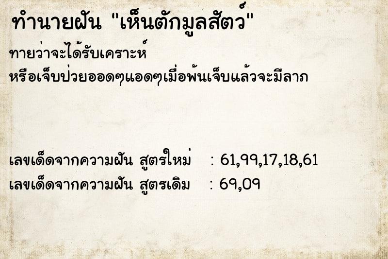 ทำนายฝันเห็นตักมูลสัตว์ ทำนายฝันทำนายฝันเห็นตักมูลสัตว์