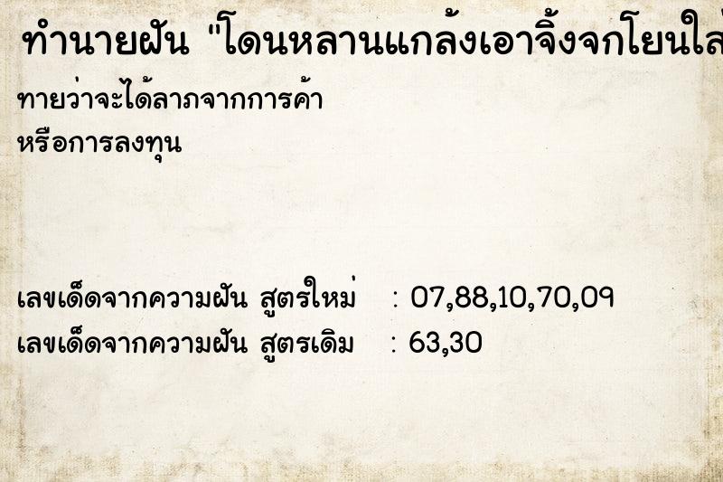 ทำนายฝันทำนายฝันโดนหลานแกล้งเอาจิ้งจกโยนใส่