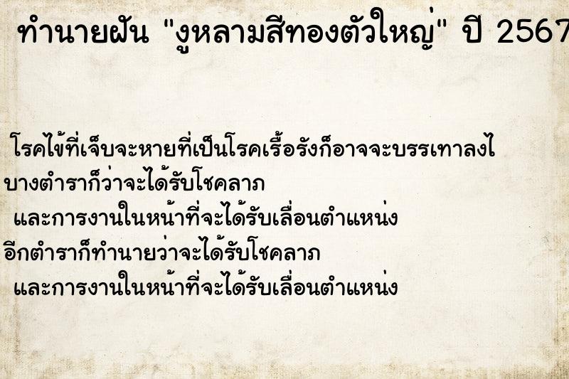 ทำนายฝัน งูหลามสีทองตัวใหญ่