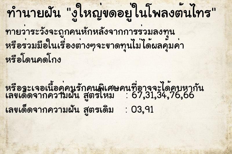 ทำนายฝันทำนายฝันงูใหญ่ขดอยู่ในโพลงต้นไทร