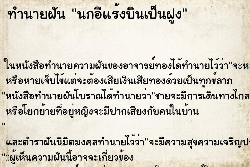 ทำนายฝัน นกอีแร้งบินเป็นฝูง ทำนายฝัน นกอีแร้งบินเป็นฝูง