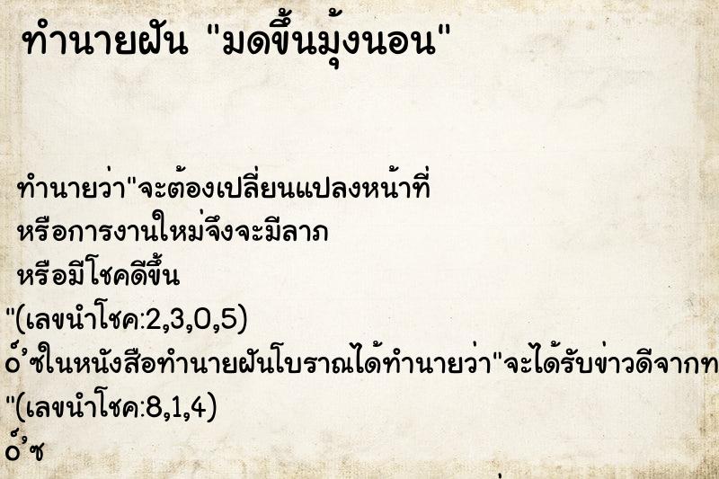 ทำนายฝัน มดขึ้นมุ้งนอน ทำนายฝัน มดขึ้นมุ้งนอน