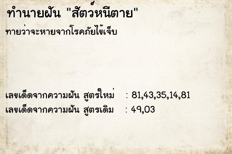 ทำนายฝันสัตว์หนีตาย ทำนายฝันทำนายฝันสัตว์หนีตาย
