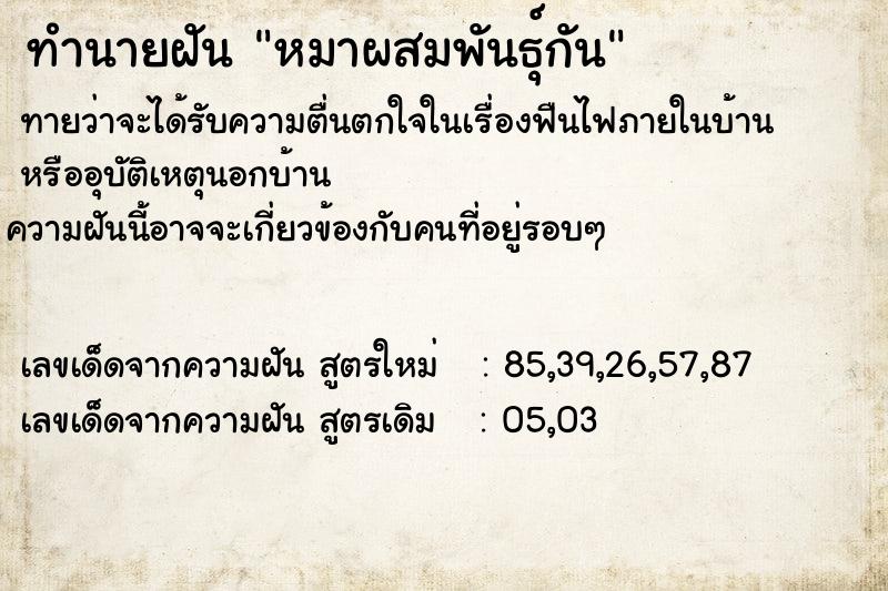 ทำนายฝันทำนายฝันหมาผสมพันธุ์กัน