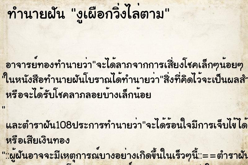 ทำนายฝัน งูเผือกวิ่งไล่ตาม ทำนายฝัน งูเผือกวิ่งไล่ตาม