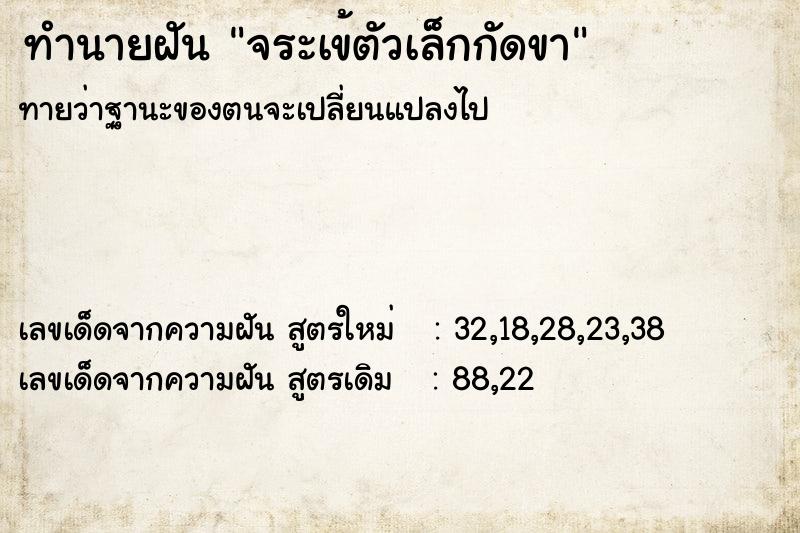 ทำนายฝันทำนายฝันจระเข้ตัวเล็กกัดขา