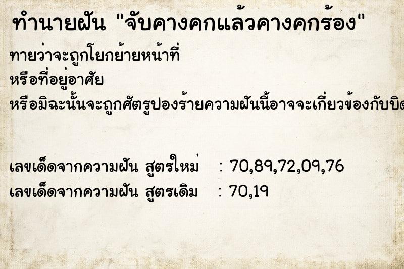 ทำนายฝันจับคางคกแล้วคางคกร้อง ทำนายฝันทำนายฝันจับคางคกแล้วคางคกร้อง