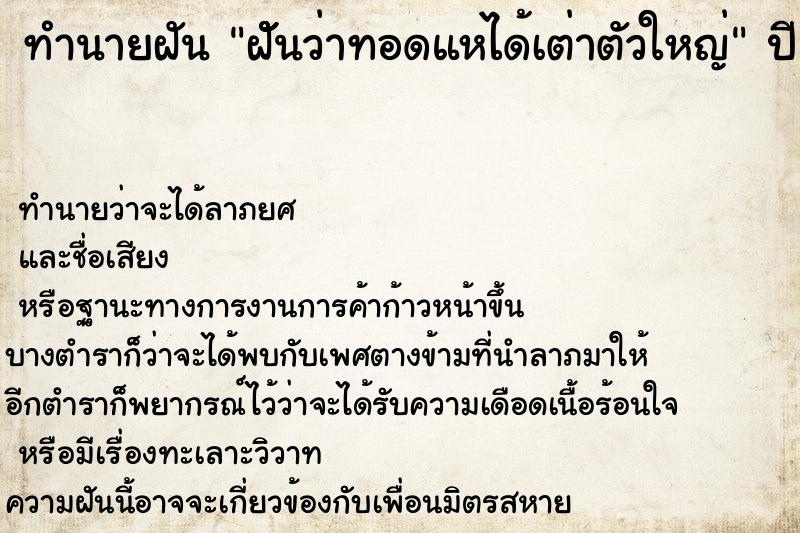 ทำนายฝันทำนายฝันฝัััันว่าทอดแหได้เต่าตัวใหญ่