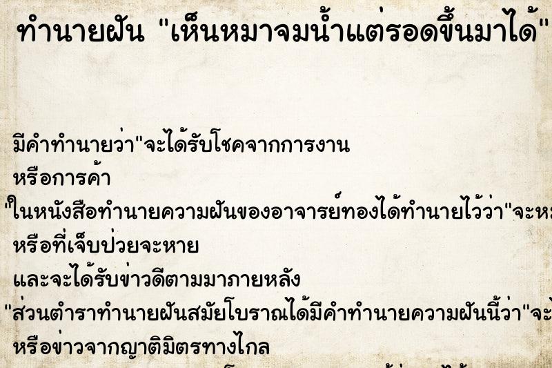 ทำนายฝัน เห็นหมาจมน้ำแต่รอดขึ้นมาได้ ทำนายฝัน เห็นหมาจมน้ำแต่รอดขึ้นมาได้