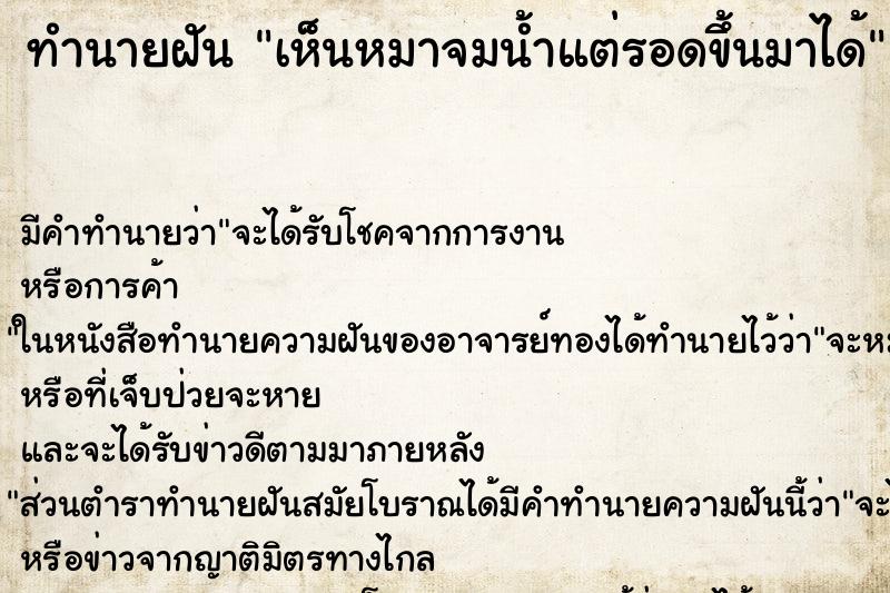 ทำนายฝัน เห็นหมาจมน้ำแต่รอดขึ้นมาได้ ตำราโบราณ แม่นที่สุดในโลก