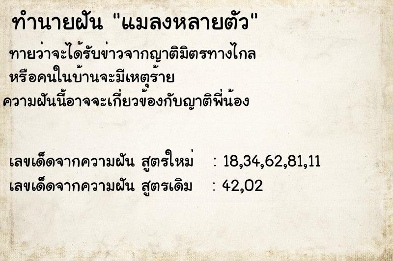 ทำนายฝัน แมลงหลายตัว ทำนายฝัน แมลงหลายตัว