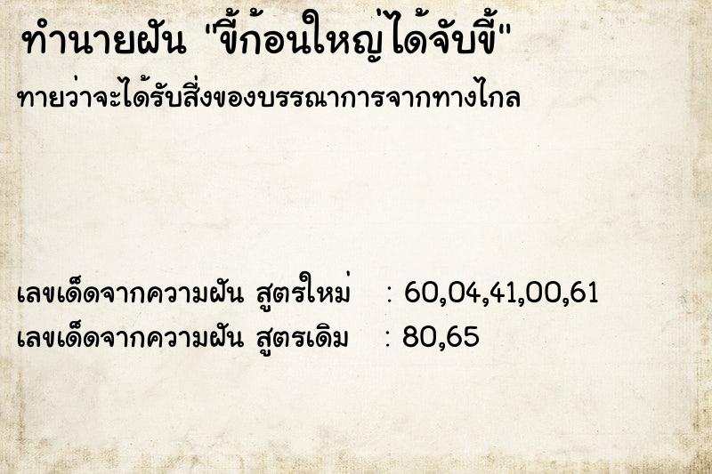 ทำนายฝันขี้ก้อนใหญ่ได้จับขี้ ทำนายฝันทำนายฝันขี้ก้อนใหญ่ได้จับขี้