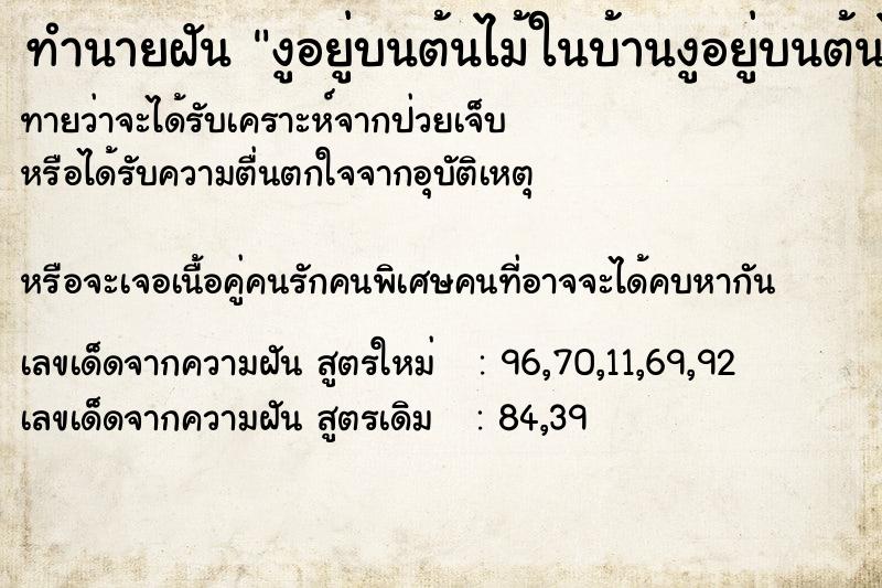ทำนายฝันงูอยู่บนต้นไม้ในบ้านงูอยู่บนต้นไม้ในบ้าน ทำนายฝันทำนายฝันงูอยู่บนต้นไม้ในบ้านงูอยู่บนต้นไม้ในบ้าน