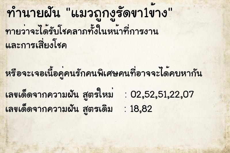 ทำนายฝันทำนายฝันแมวถูกงูรัดขา1ข้าง
