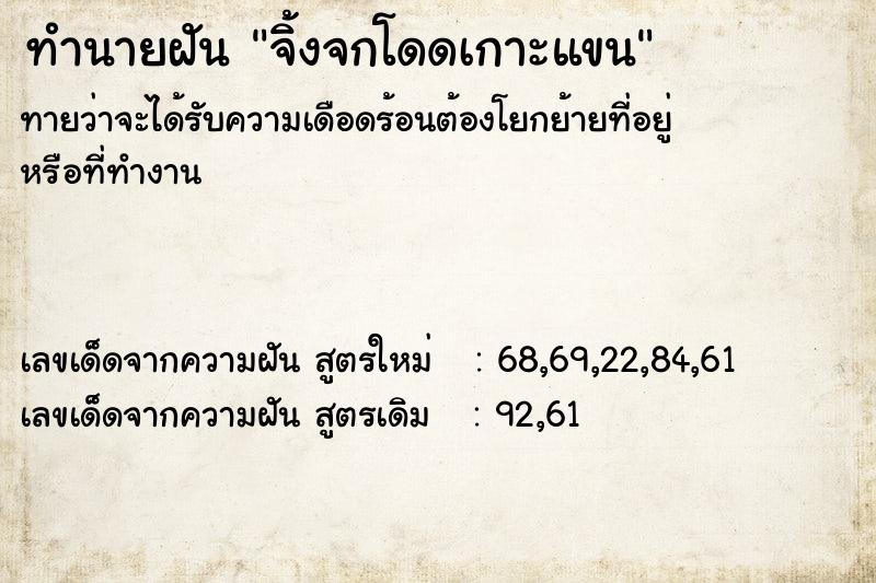 ทำนายฝันจิ้งจกโดดเกาะแขน ทำนายฝันทำนายฝันจิ้งจกโดดเกาะแขน