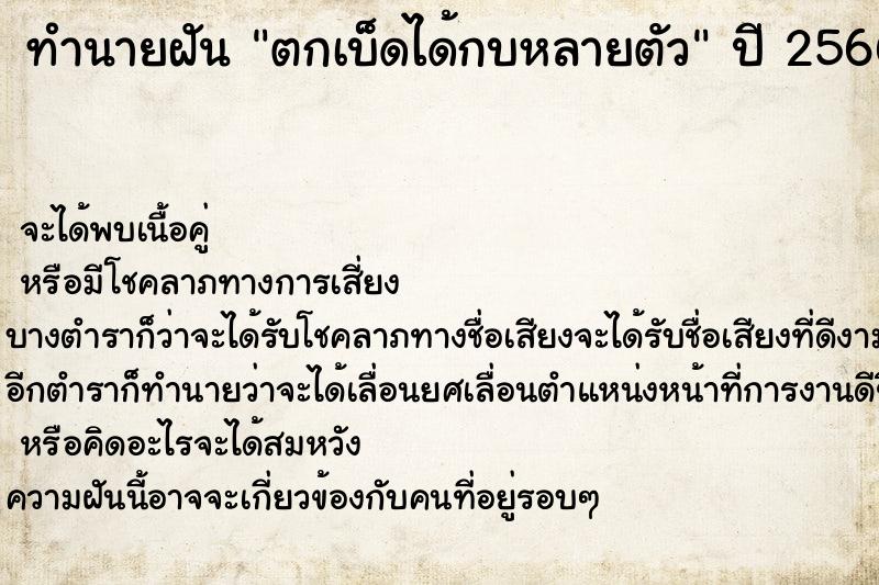 ทำนายฝันตกเบ็ดได้กบหลายตัว ทำนายฝันทำนายฝันตกเบ็ดได้กบหลายตัว