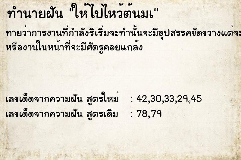 ทำนายฝันให้ไปไหว้ต้นมà ทำนายฝันทำนายฝันให้ไปไหว้ต้นมà